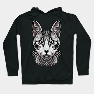 Cute Cat Illusion Design, Funny Cat Lover Gift Idea Hoodie